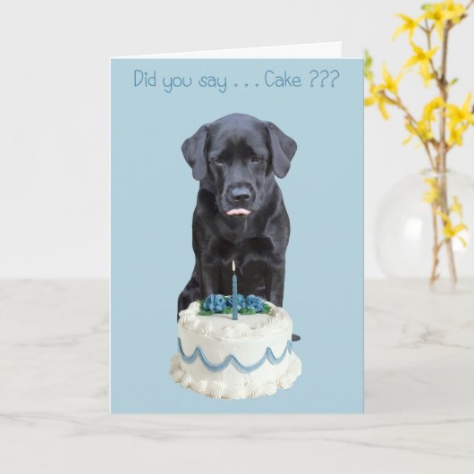 Black Lab Toutes les Occasions Carte - Chig Cake A (Fleur jaune)