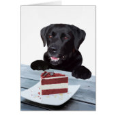 Black Lab Toutes les Occasions Carte - Chig Cake A (Devant)
