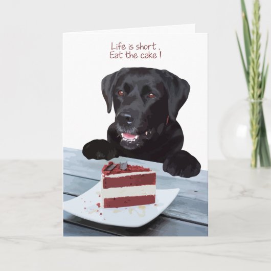 Black Lab Toutes les Occasions Carte - Chig Cake A (Devant)