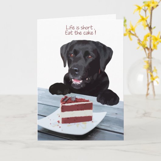 Black Lab Toutes les Occasions Carte - Chig Cake A (Fleur jaune)