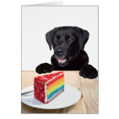 Black Lab Toutes les Occasions Carte - Chig Cake A (Devant)