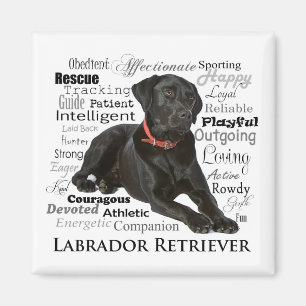 Black Lab Traits Magnet Magneet