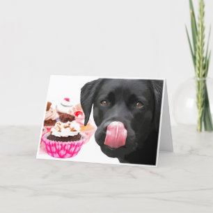 Black Lab Verjaardag Kaart - Verjaardag van de hon