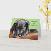 Black Lab Verlate Verjaardag Kaart (Gele Bloem)