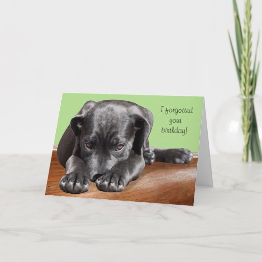 Black Lab Verlate Verjaardag Kaart (Voorkant)