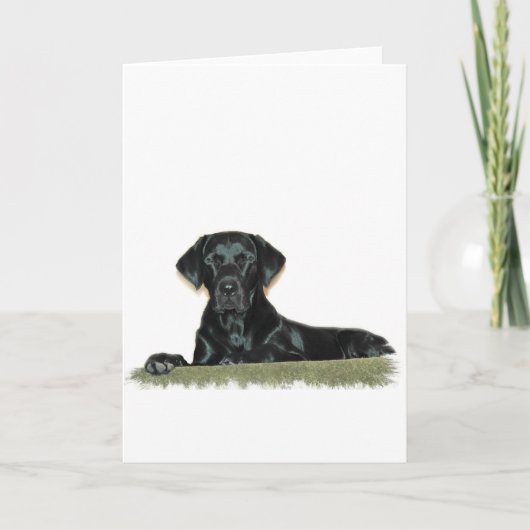 Black Lab-Wenskaart Kaart (Voorkant)