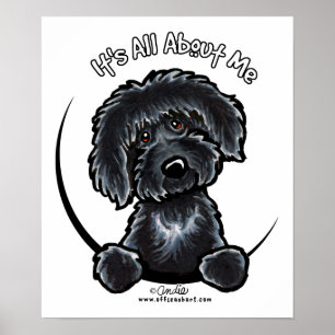 Black Labradodle IAAM Poster