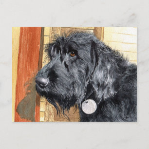 Black Labradoodle #1 Briefkaart