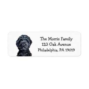Black Labradoodle / Black Goldendoodle Étiquette