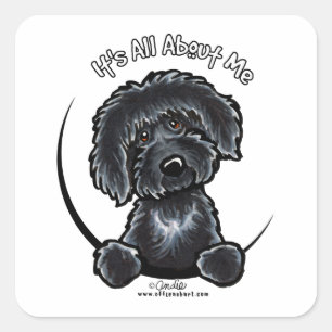 Black Labradoodle IAAM Vierkante Sticker