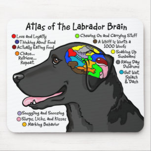 Black Labrador Brain Atlas Muismat