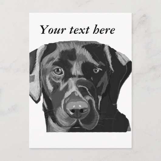 Black Labrador Briefkaart (Voorkant)