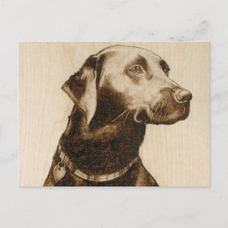 Black Labrador Briefkaart