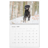 Black Labrador Calendar Kalender (Jan 2027)