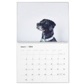 Black Labrador Calendar Kalender (Mar 2026)