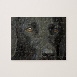 Black Labrador Dog Legpuzzel