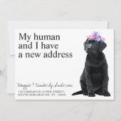 Black Labrador Dog Moving Aankondiging (Voorkant)