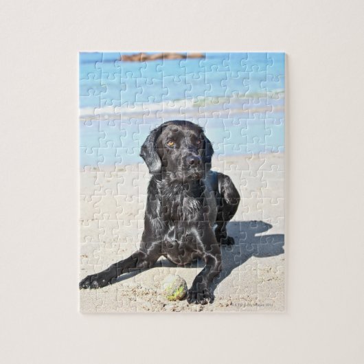 Black Labrador Dog, op het strand Legpuzzel (Verticaal)