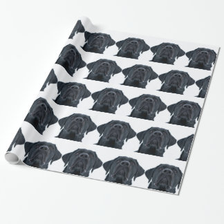 Black Labrador Facing Cadeaupapier