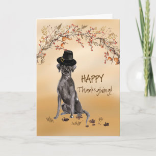 Black Labrador Funny Pilgrim Pet Thanksgiving Kaart