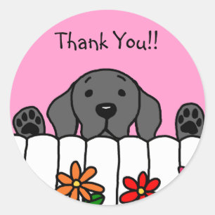 Black Labrador kijkt naar je Ronde Sticker