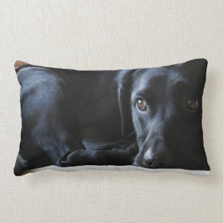 Black Labrador Kussen