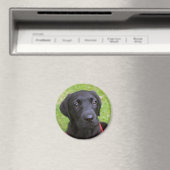 Black Labrador Magnet (In Situ (Lave-vaisselle))