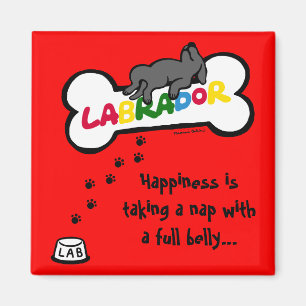 Black Labrador met volle buik Cartoon Magneet