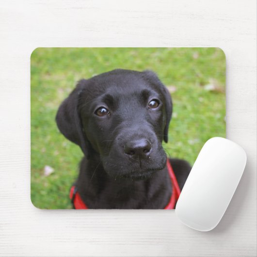 Black Labrador Mouse Mat Muismat (Met muis)