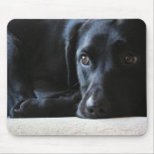 Black Labrador Muismat (Voorkant)