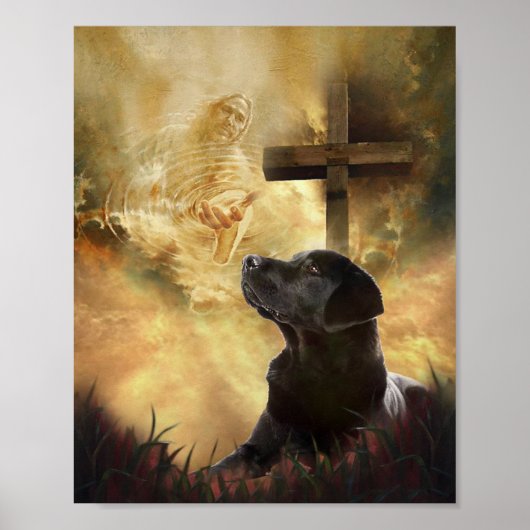 Black Labrador neemt mijn hand op Poster (Voorkant)