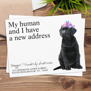 Black Labrador New Address Dog Moving Announance Briefkaart