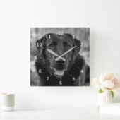 Black Labrador Photo Pet Dog Square Wall klok (Huis)