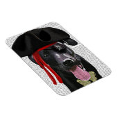 Black Labrador Pirate Magneet (Rechterzijde)