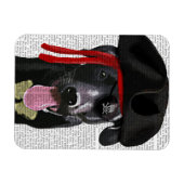 Black Labrador Pirate Magneet (Horizontaal)