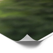 Black Labrador Poster (Hoek)