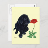 Black Labrador Puppy Briefkaart (Voorkant / Achterkant)