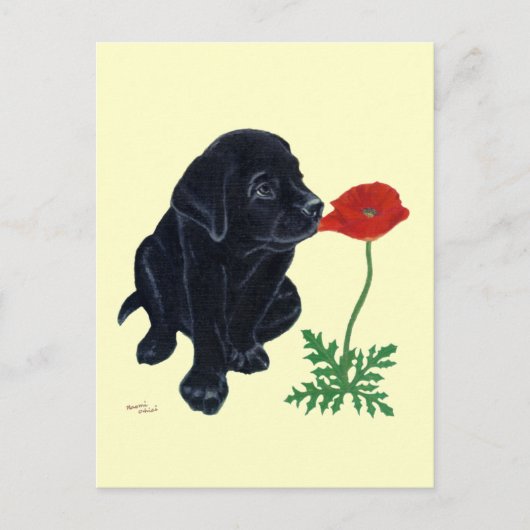Black Labrador Puppy Briefkaart (Voorkant)