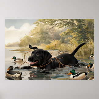 Black Labrador Puppy, Labrador Hunter Poster