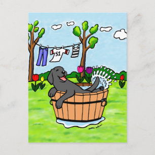 Black Labrador Puppy Pool Cartoon Briefkaart