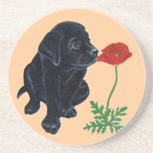 Black Labrador Puppy & Poppy Painting Zandsteen Onderzetter