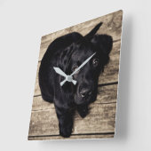 Black Labrador Puppy Vierkante Klok (Hoek)