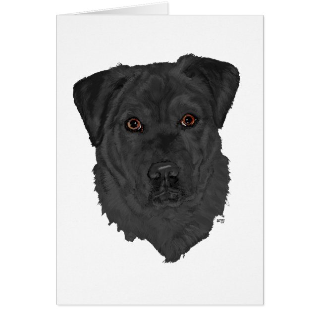 Black Labrador Retriever (Devant)