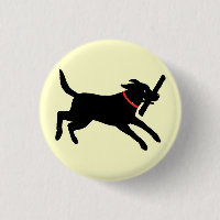 Black Labrador Retriever actief | Happy Black Dog