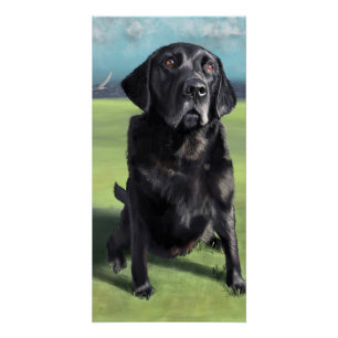 Black Labrador Retriever Arleigh aan de kust Art Perfect Poster