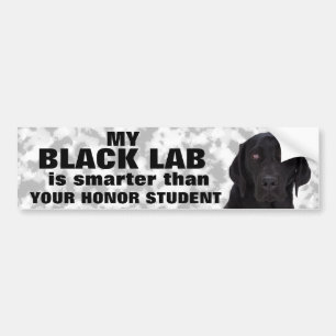 Black Labrador Retriever Bumpersticker