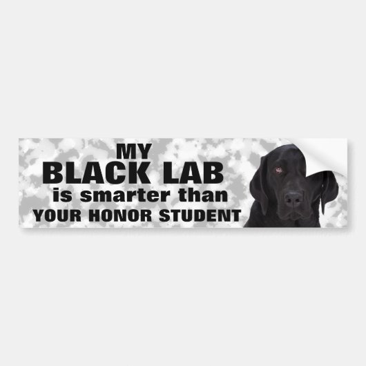 Black Labrador Retriever Bumpersticker (Voorkant)