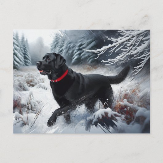 Black Labrador Retriever Dog dans la carte postale (Devant)