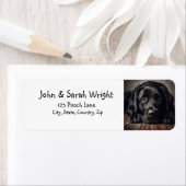 Black Labrador Retriever Dog Label (Insitu)