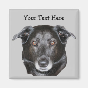 Black Labrador Retriever Dog Magnet Magneet